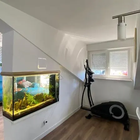 Luxury Near Bacvice Beach Apartment Split