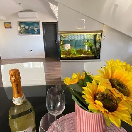 Апартаменты Luxury Near Bacvice